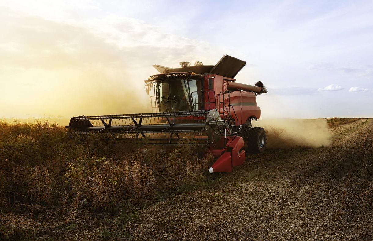 Saatgut Landwirtschaft